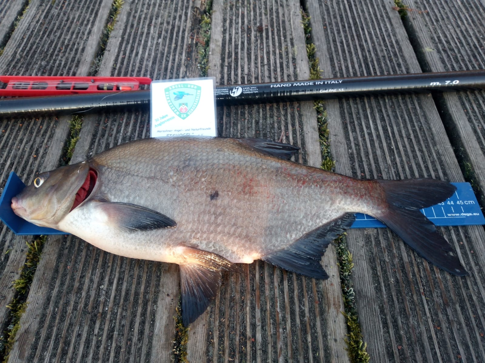 07 26 2026 03 18 Blei 45cm